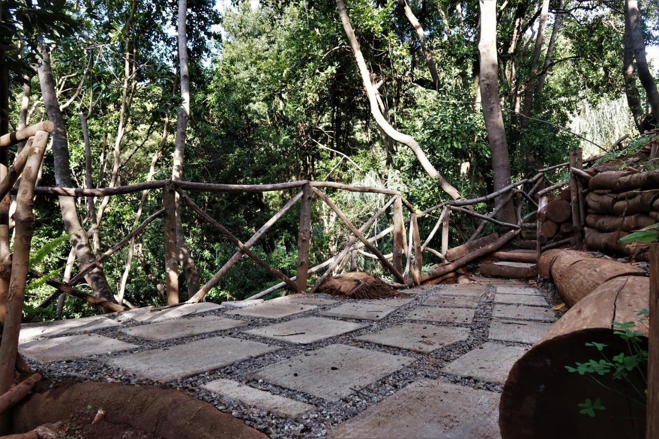 Lodge Maria Quinta 13 