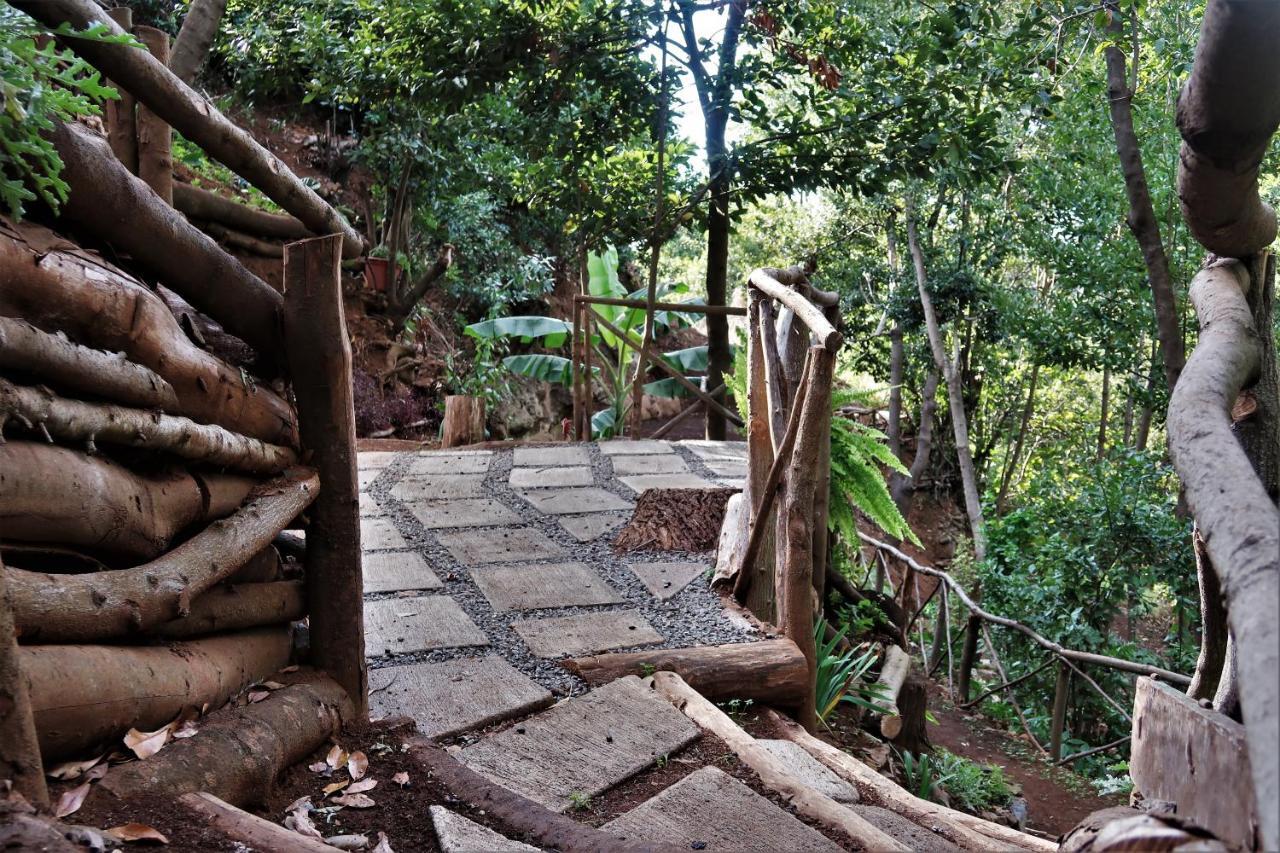 Lodge Maria Quinta 13 